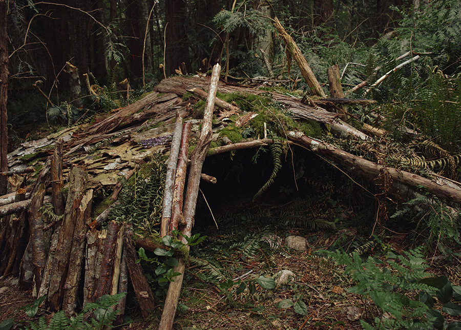 abris de fortune en pleine foret