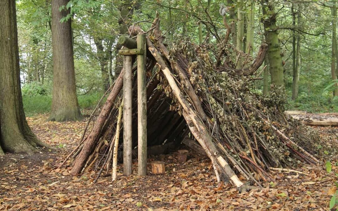 Construire votre propre abri : Des moyens naturels et durables quelque soit la situation d’urgence