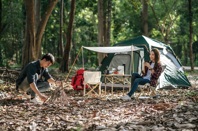 Camping-dans-foret