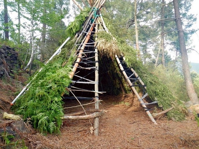 abri naturel en bois